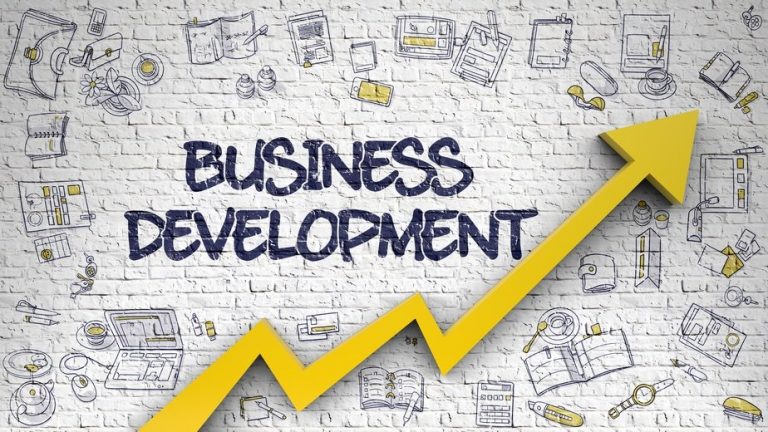 What is a business development team